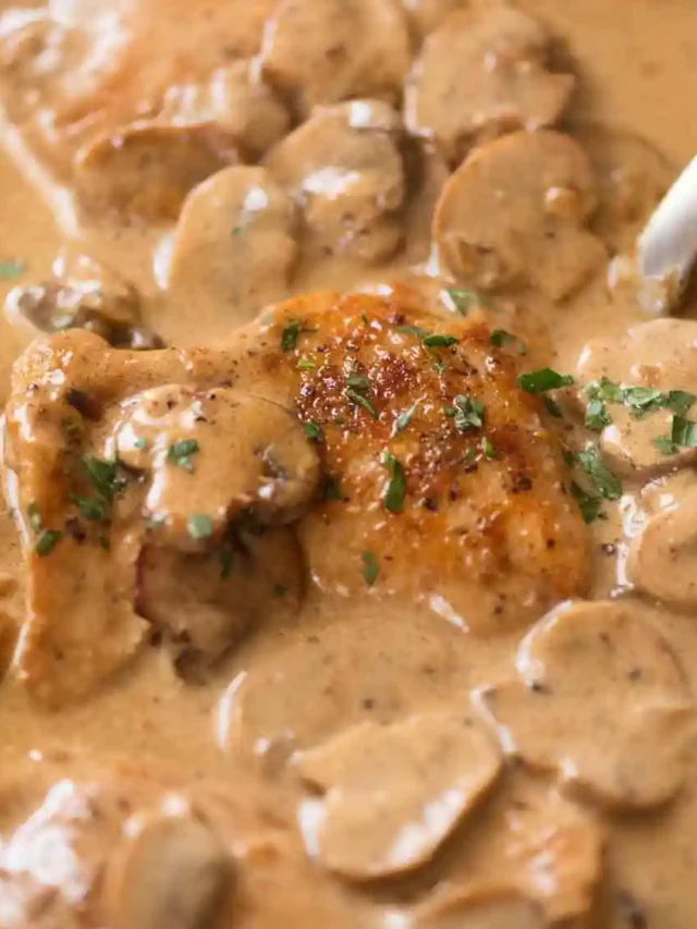 Classic chicken stroganoff recipe